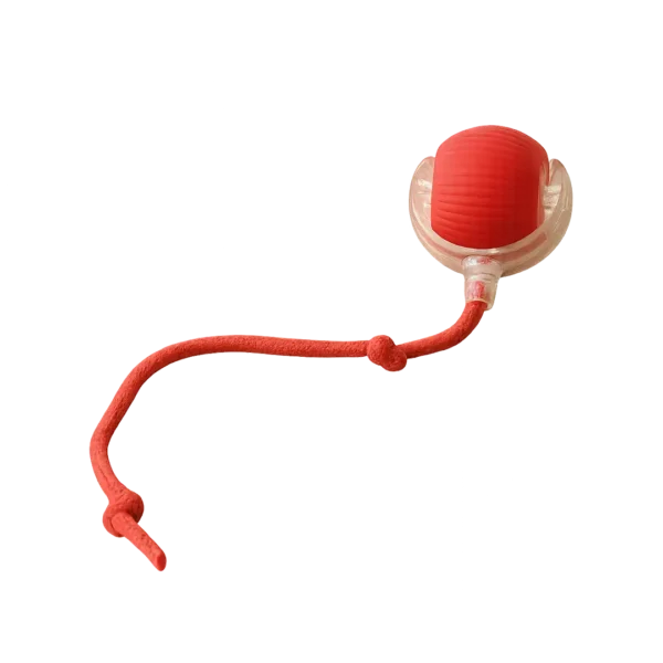 Interactive Electric Cat Ball – Smart Sensor Toy