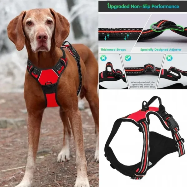 No-Pull Reflective Dog Harness – Adjustable & Padded - Image 4