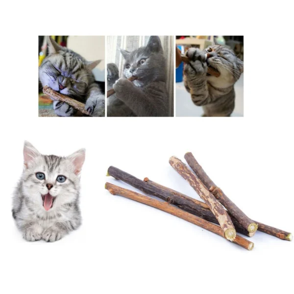 Catnip Silvervine Sticks – Chew Toys for Cats & Kittens - Image 5