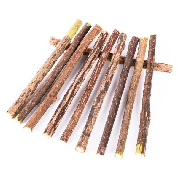 Catnip Silvervine Sticks – Chew Toys for Cats & Kittens - Image 4
