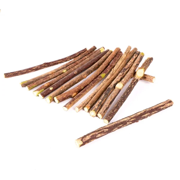 Catnip Silvervine Sticks – Chew Toys for Cats & Kittens - Image 2